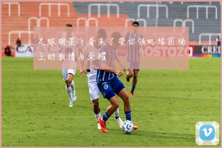 足球明星飞哥来了带你领略绿茵场上的激情与荣耀