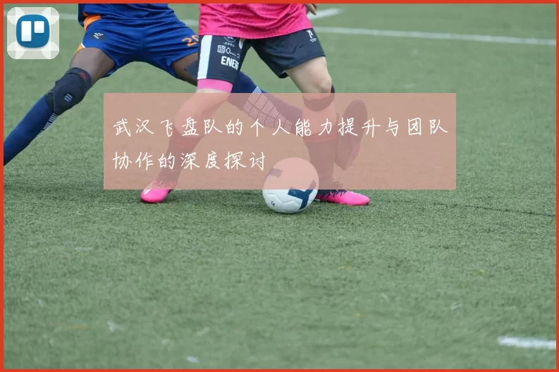 武汉飞盘队的个人能力提升与团队协作的深度探讨