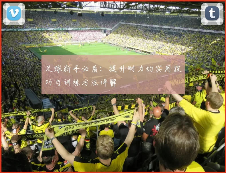 足球新手必看：提升耐力的实用技巧与训练方法详解