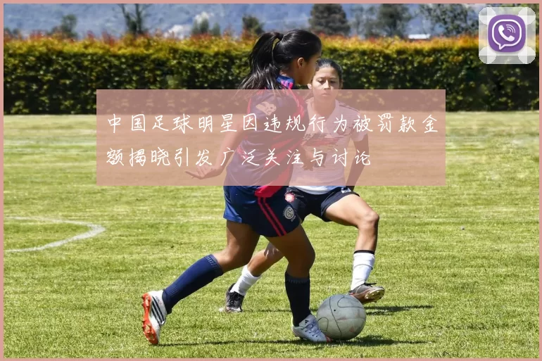 中国足球明星因违规行为被罚款金额揭晓引发广泛关注与讨论
