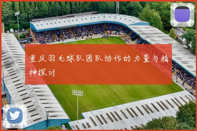 重庆羽毛球队团队协作的力量与精神探讨