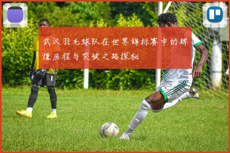 武汉羽毛球队在世界锦标赛中的辉煌历程与突破之路探秘