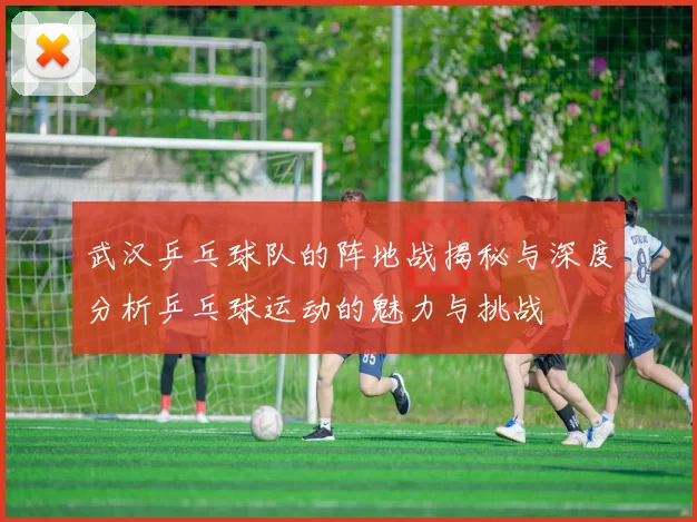 武汉乒乓球队的阵地战揭秘与深度分析乒乓球运动的魅力与挑战