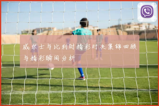 威尔士与比利时精彩对决集锦回顾与精彩瞬间分析