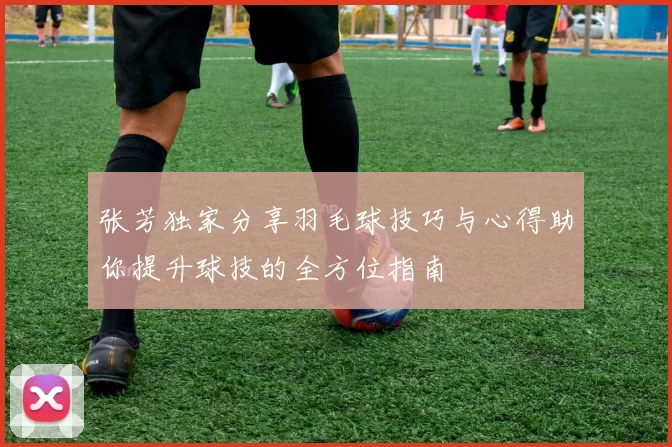 张芳独家分享羽毛球技巧与心得助你提升球技的全方位指南