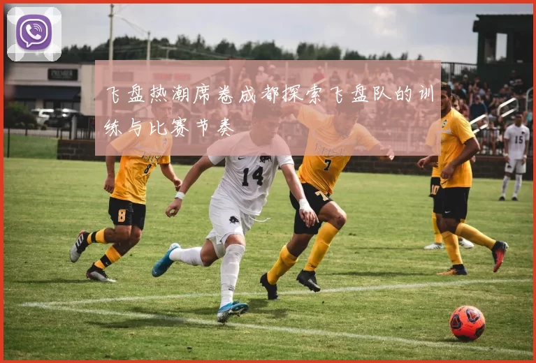 飞盘热潮席卷成都探索飞盘队的训练与比赛节奏