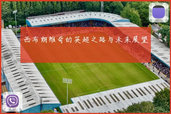 西布朗维奇的英超之路与未来展望