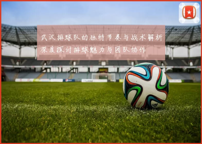 武汉排球队的独特节奏与战术解析深度探讨排球魅力与团队协作